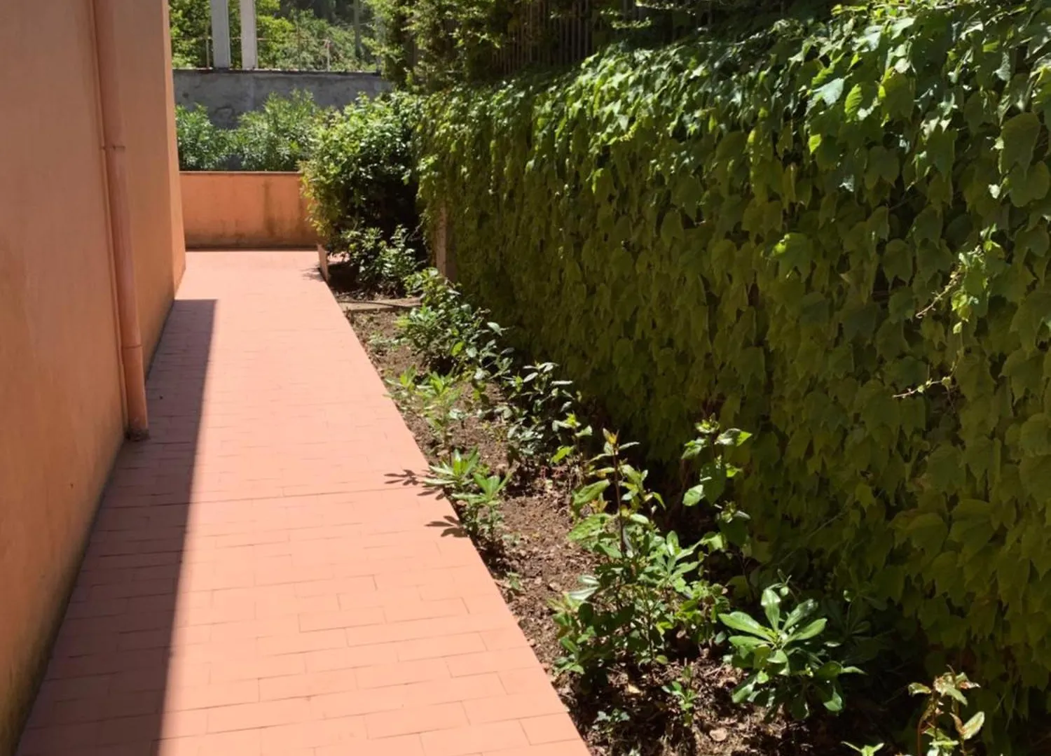 La Casa Di Alice Villa Nisporto Italy